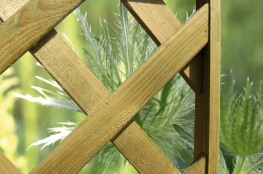 Diamond Trellis